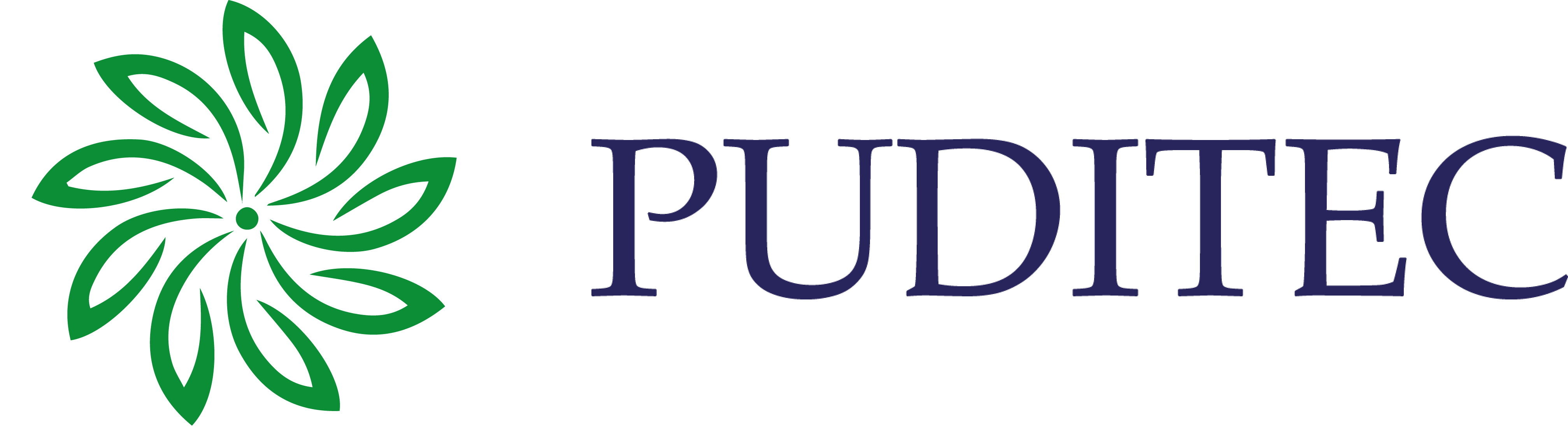 PUDITEC