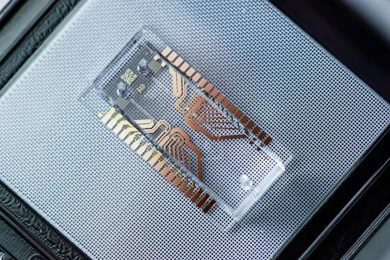 Microfluidic lab-on-chip with copper microchannels and electrode traces on a dark substrate — an illustrative example of a device patterned by maskless / soft lithography